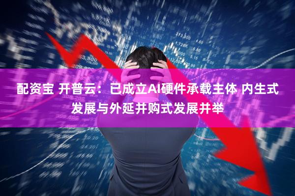 配资宝 开普云：已成立AI硬件承载主体 内生式发展与外延并购式发展并举