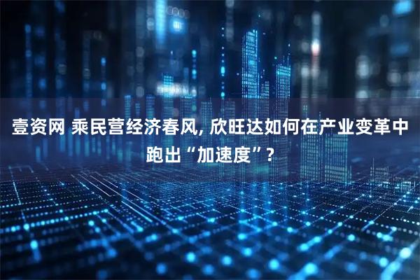 壹资网 乘民营经济春风, 欣旺达如何在产业变革中跑出“加速度”?
