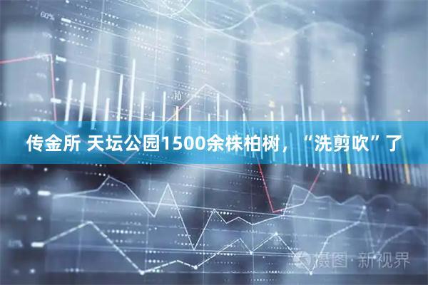 传金所 天坛公园1500余株柏树，“洗剪吹”了